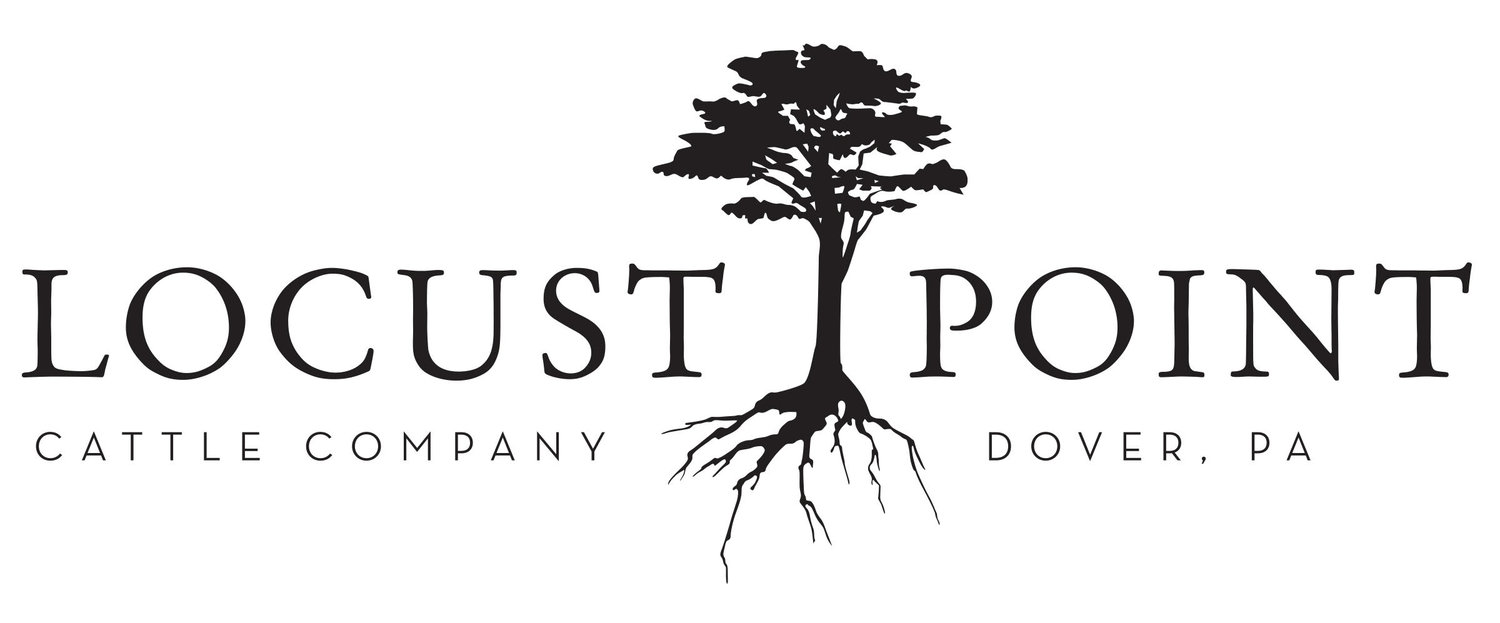 Logo of Locust Point Cattle Company located in Dover, PA, featuring a stylized tree with roots, symbolizing strength and connection to the land.
